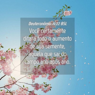 Picture 04 - Deuteronômio 14:22 BSL - Você certamente ditará todo o aumento de sua - Bible Verse Picture