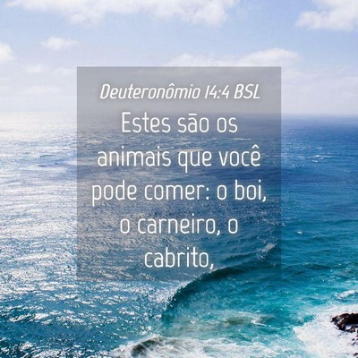 Picture 04 - Deuteronômio 14:4 BSL - Estes são os animais que você pode comer: o - Bible Verse Picture