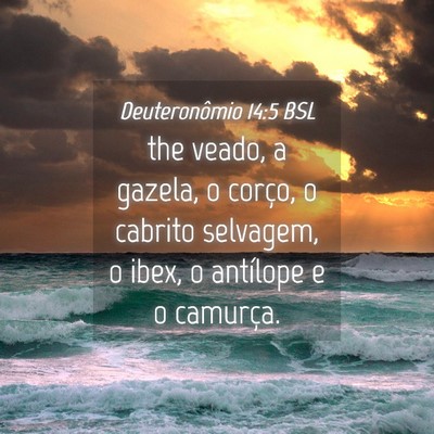 Picture 04 - Deuteronômio 14:5 BSL - the veado, a gazela, o corço, o cabrito - Bible Verse Picture