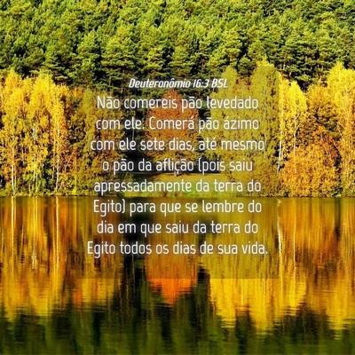 Picture 04 - Deuteronômio 16:3 BSL - Não comereis pão levedado com ele. Comerá pão - Bible Verse Picture