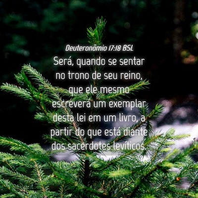 Picture 04 - Deuteronômio 17:18 BSL - Será, quando se sentar no trono de seu reino, - Bible Verse Picture