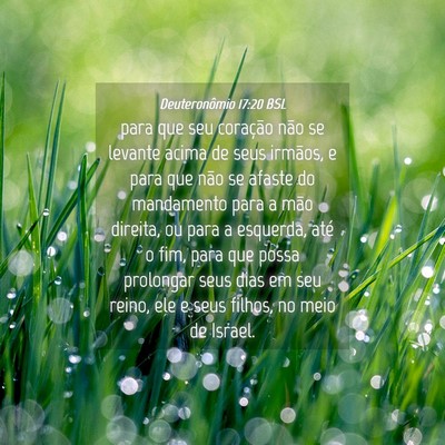 Picture 04 - Deuteronômio 17:20 BSL - para que seu coração não se levante acima de - Bible Verse Picture