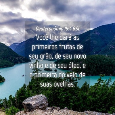 Picture 04 - Deuteronômio 18:4 BSL - Você lhe dará as primeiras frutas de seu grão, - Bible Verse Picture