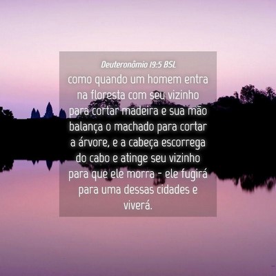 Picture 04 - Deuteronômio 19:5 BSL - como quando um homem entra na floresta com seu - Bible Verse Picture
