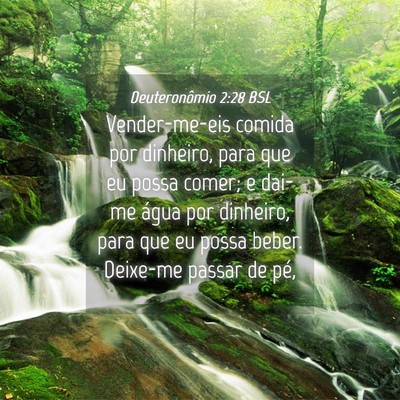 Picture 04 - Deuteronômio 2:28 BSL - Vender-me-eis comida por dinheiro, para que eu - Bible Verse Picture