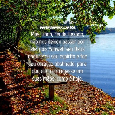 Picture 04 - Deuteronômio 2:30 BSL - Mas Sihon, rei de Hesbon, não nos deixou passar - Bible Verse Picture