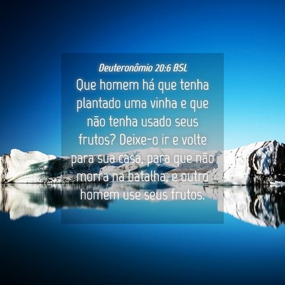 Picture 04 - Deuteronômio 20:6 BSL - Que homem há que tenha plantado uma vinha e que - Bible Verse Picture