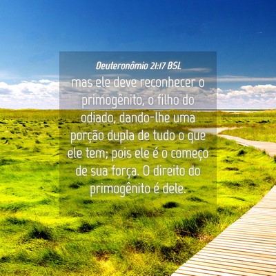 Picture 04 - Deuteronômio 21:17 BSL - mas ele deve reconhecer o primogênito, o filho - Bible Verse Picture