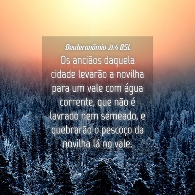 Picture 04 - Deuteronômio 21:4 BSL - Os anciãos daquela cidade levarão a novilha - Bible Verse Picture