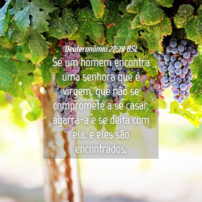 Picture 04 - Deuteronômio 22:28 BSL - Se um homem encontra uma senhora que é virgem, - Bible Verse Picture