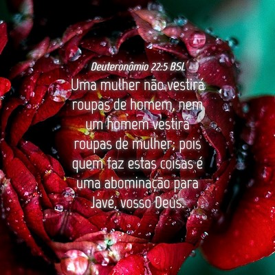 Picture 04 - Deuteronômio 22:5 BSL - Uma mulher não vestirá roupas de homem, nem um - Bible Verse Picture