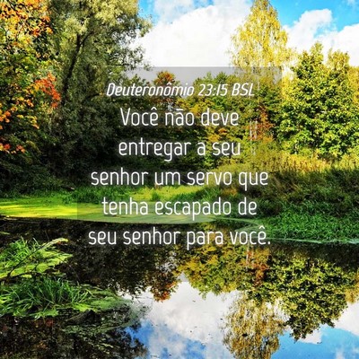 Picture 04 - Deuteronômio 23:15 BSL - Você não deve entregar a seu senhor um servo - Bible Verse Picture