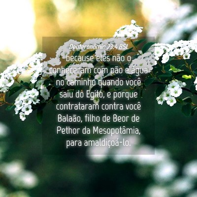 Picture 04 - Deuteronômio 23:4 BSL - because eles não o conheceram com pão e água - Bible Verse Picture