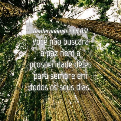 Picture 04 - Deuteronômio 23:6 BSL - Você não buscará a paz nem a prosperidade - Bible Verse Picture