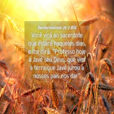 Picture 04 - Deuteronômio 26:3 BSL - Você virá ao sacerdote que estará naqueles - Bible Verse Picture