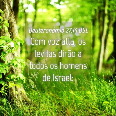 Picture 04 - Deuteronômio 27:14 BSL - Com voz alta, os levitas dirão a todos os homens - Bible Verse Picture