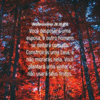 Picture 04 - Deuteronômio 28:30 BSL - Você desposará uma esposa, e outro homem se - Bible Verse Picture