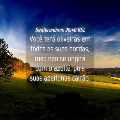 Picture 04 - Deuteronômio 28:40 BSL - Você terá oliveiras em todas as suas bordas, - Bible Verse Picture
