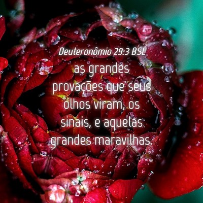 Picture 04 - Deuteronômio 29:3 BSL - as grandes provações que seus olhos viram, os - Bible Verse Picture