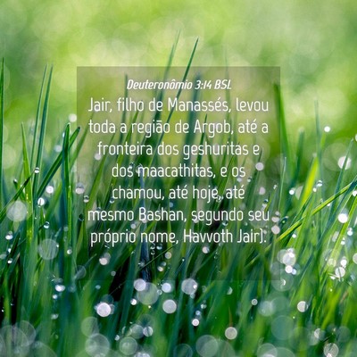 Picture 04 - Deuteronômio 3:14 BSL - Jair, filho de Manassés, levou toda a região de - Bible Verse Picture