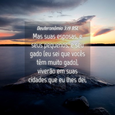 Picture 04 - Deuteronômio 3:19 BSL - Mas suas esposas, e seus pequenos, e seu gado (eu - Bible Verse Picture