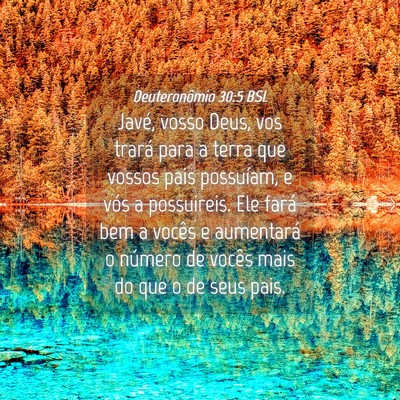 Picture 04 - Deuteronômio 30:5 BSL - Javé, vosso Deus, vos trará para a terra que - Bible Verse Picture