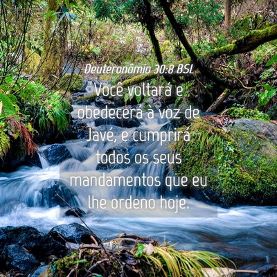 Picture 04 - Deuteronômio 30:8 BSL - Você voltará e obedecerá à voz de Javé, e - Bible Verse Picture