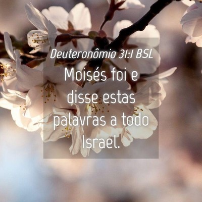 Picture 04 - Deuteronômio 31:1 BSL - Moisés foi e disse estas palavras a todo - Bible Verse Picture
