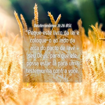 Picture 04 - Deuteronômio 31:26 BSL - “Pegue este livro da lei e coloque-o ao lado da - Bible Verse Picture