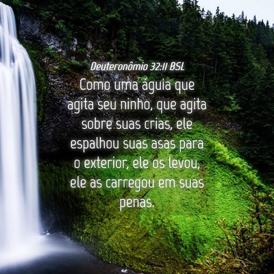 Picture 04 - Deuteronômio 32:11 BSL - Como uma águia que agita seu ninho, que agita - Bible Verse Picture