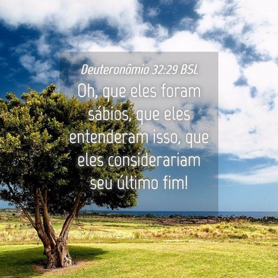 Picture 04 - Deuteronômio 32:29 BSL - Oh, que eles foram sábios, que eles entenderam - Bible Verse Picture