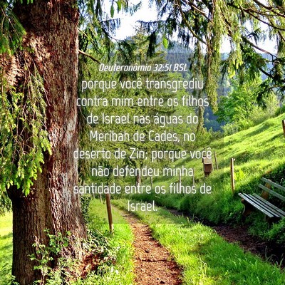 Picture 04 - Deuteronômio 32:51 BSL - porque você transgrediu contra mim entre os - Bible Verse Picture