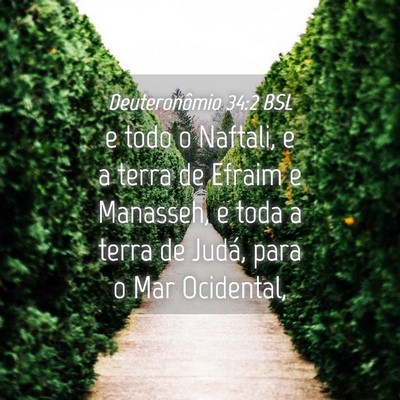 Picture 04 - Deuteronômio 34:2 BSL - e todo o Naftali, e a terra de Efraim e Manasseh, - Bible Verse Picture