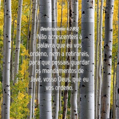 Picture 04 - Deuteronômio 4:2 BSL - Não acrescenteis à palavra que eu vos ordeno, - Bible Verse Picture
