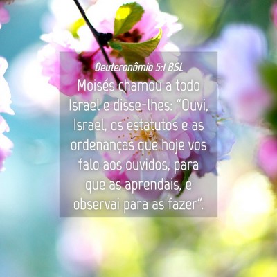 Picture 04 - Deuteronômio 5:1 BSL - Moisés chamou a todo Israel e disse-lhes: - Bible Verse Picture