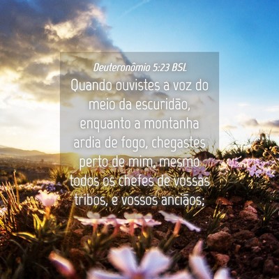 Picture 04 - Deuteronômio 5:23 BSL - Quando ouvistes a voz do meio da escuridão, - Bible Verse Picture