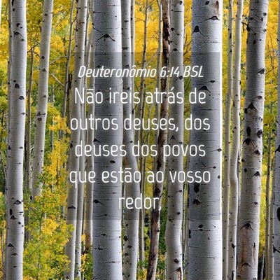 Picture 04 - Deuteronômio 6:14 BSL - Não ireis atrás de outros deuses, dos deuses - Bible Verse Picture