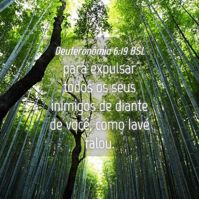 Picture 04 - Deuteronômio 6:19 BSL - para expulsar todos os seus inimigos de diante de - Bible Verse Picture