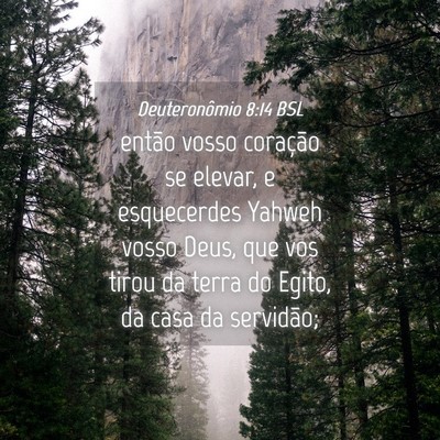 Picture 04 - Deuteronômio 8:14 BSL - então vosso coração se elevar, e esquecerdes - Bible Verse Picture