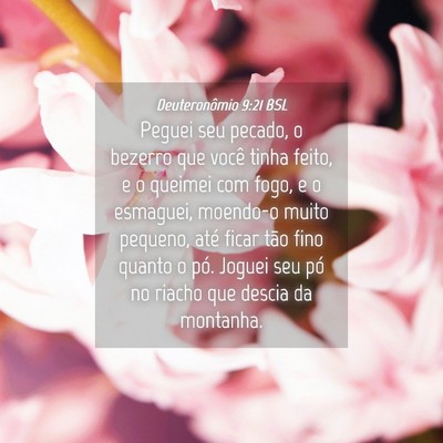Picture 04 - Deuteronômio 9:21 BSL - Peguei seu pecado, o bezerro que você tinha - Bible Verse Picture
