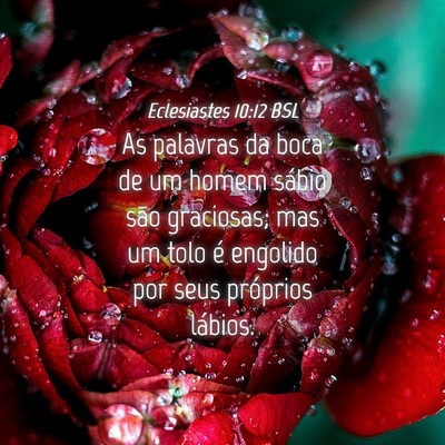 Picture 04 - Eclesiastes 10:12 BSL - As palavras da boca de um homem sábio são - Bible Verse Picture