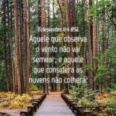 Picture 04 - Eclesiastes 11:4 BSL - Aquele que observa o vento não vai semear; e - Bible Verse Picture