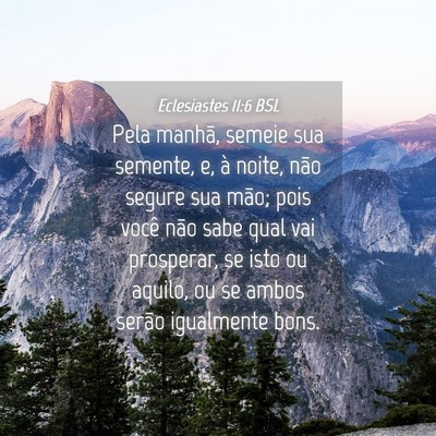 Picture 04 - Eclesiastes 11:6 BSL - Pela manhã, semeie sua semente, e, à noite, - Bible Verse Picture