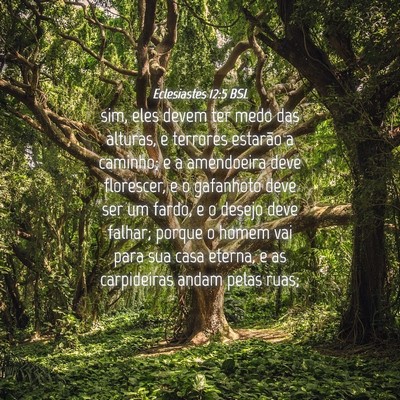 Picture 04 - Eclesiastes 12:5 BSL - sim, eles devem ter medo das alturas, e terrores - Bible Verse Picture
