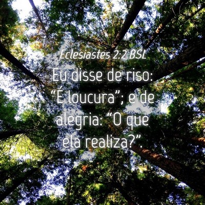 Picture 04 - Eclesiastes 2:2 BSL - Eu disse de riso: “É loucura”; e de alegria: - Bible Verse Picture