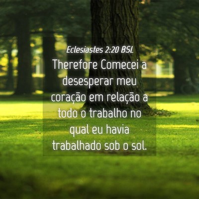 Picture 04 - Eclesiastes 2:20 BSL - Therefore Comecei a desesperar meu coração em - Bible Verse Picture