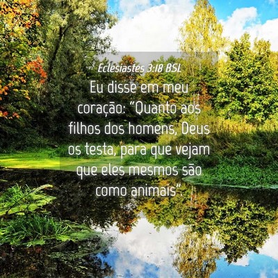 Picture 04 - Eclesiastes 3:18 BSL - Eu disse em meu coração: “Quanto aos filhos - Bible Verse Picture
