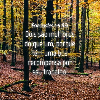 Picture 04 - Eclesiastes 4:9 BSL - Dois são melhores do que um, porque têm uma boa - Bible Verse Picture
