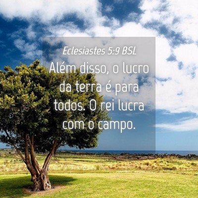 Picture 04 - Eclesiastes 5:9 BSL - Além disso, o lucro da terra é para todos. O - Bible Verse Picture