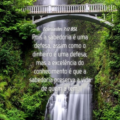 Picture 04 - Eclesiastes 7:12 BSL - Pois a sabedoria é uma defesa, assim como o - Bible Verse Picture